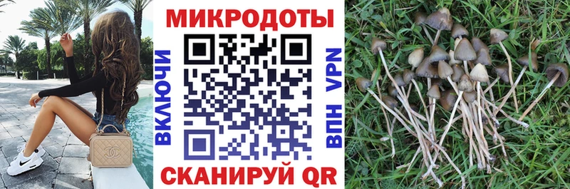 Галлюциногенные грибы Magic Shrooms  KRAKEN как зайти  Омутнинск 
